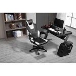 Καρέκλα Gaming Raptor Ace-Leuko