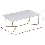 Τραπεζάκι σαλονιού Jeremy 120x80x45