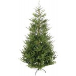 Χριστουγεννιάτικο δέντρο Fir 210cm - 2590 κλαδιά πράσινο