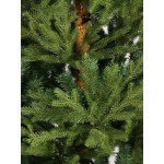 Χριστουγεννιάτικο δέντρο Fir 210cm - 2590 κλαδιά πράσινο