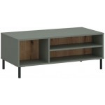 Τραπεζάκι σαλονιού Verdant