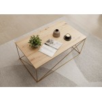 Τραπεζάκι σαλονιού Dente-Sonoma 100x60x43