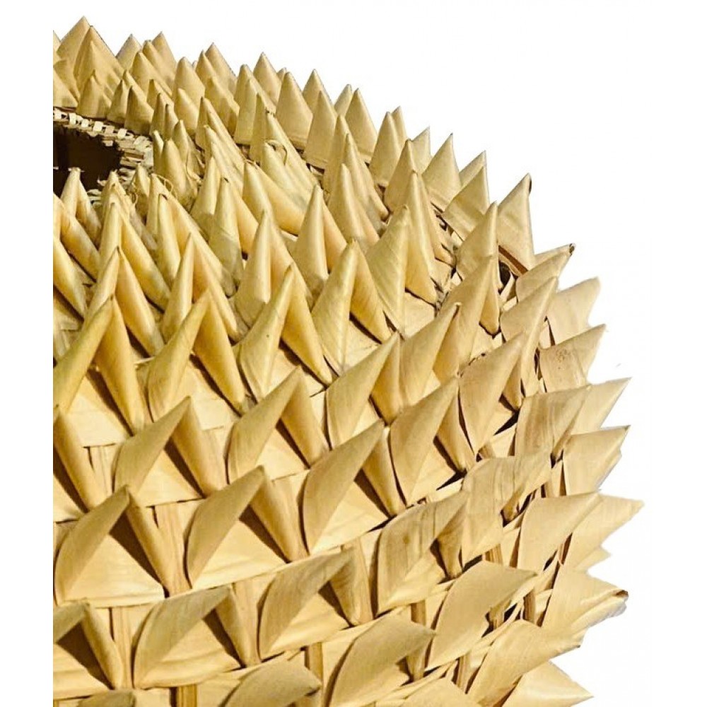 Φωτιστικό οροφής Sedna