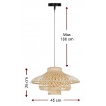 Φωτιστικό οροφής Barker