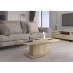 Τραπεζάκι σαλονιού Vega 110x60x43.3