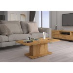 Τραπεζάκι σαλονιού Vega 110x60x43.3