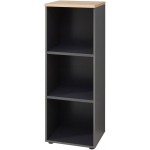 Βιβλιοθήκη Johnson mini