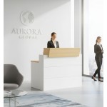 Ρεσεψιόν LobbyLink II-Leuko Fusiko