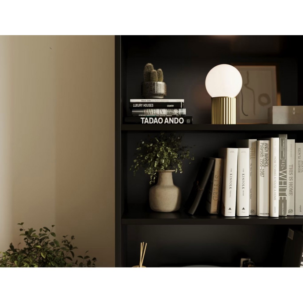 Βιβλιοθήκη San Mateo-Mauro