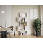 Βιβλιοθήκη Idaho-Leuko