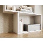 Βιβλιοθήκη Idaho-Leuko