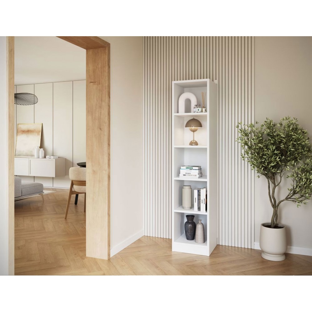 Βιβλιοθήκη Thomson-Leuko