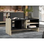 Τραπεζάκι σαλονιού Porto