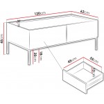 Τραπεζάκι σαλονιού Como 2SZ 120x62x45