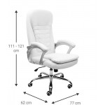 Καρέκλα διευθυντική Celadon-Leuko