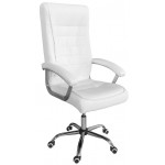 Καρέκλα διευθυντική Viridian-Leuko