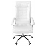 Καρέκλα διευθυντική Viridian-Leuko