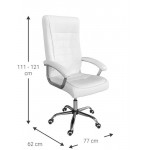 Καρέκλα διευθυντική Viridian-Leuko