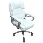 Καρέκλα διευθυντική Cerulean-Leuko