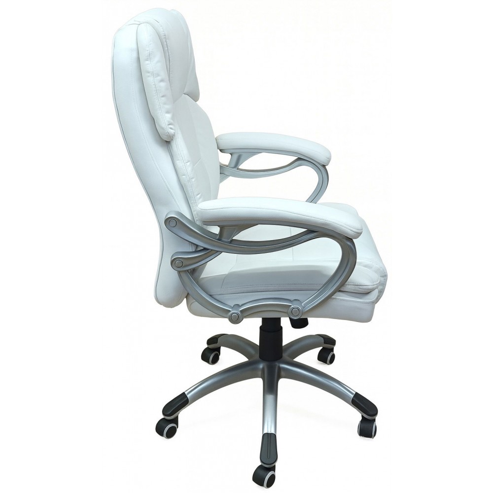 Καρέκλα διευθυντική Cerulean-Leuko