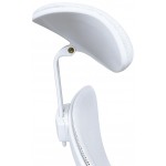 Καρέκλα γραφείου Hathrow-Leuko