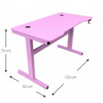 Γραφείο Gaming Raptor Falcon-Roz