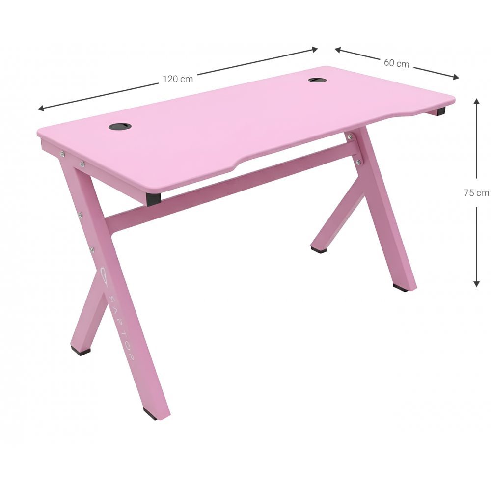 Γραφείο Gaming Raptor Celestial-Roz