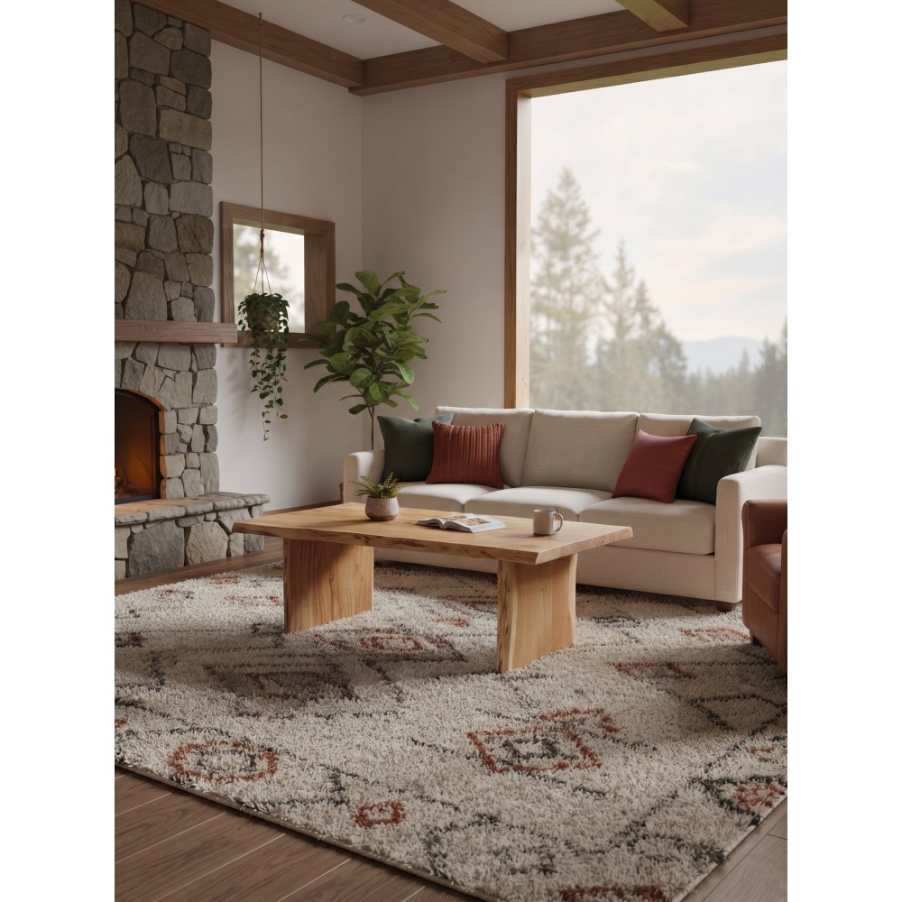 Τραπεζάκι σαλονιού Elvin 110x60x40