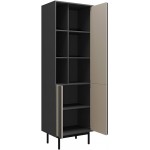 Στήλη Alsy Reg 63x43x195