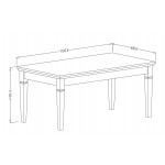 Τραπεζάκι σαλονιού Capel 110x60x50