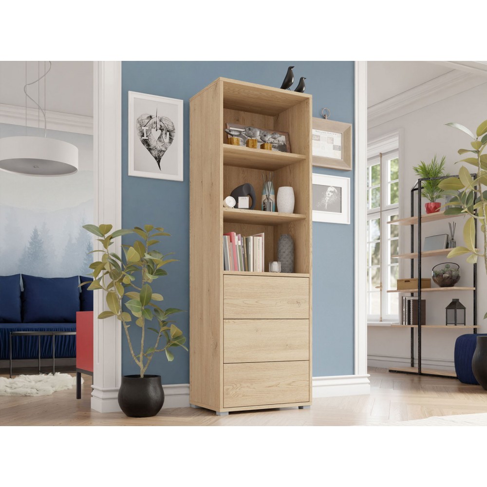 Βιβλιοθήκη Gesita-Φυσικό