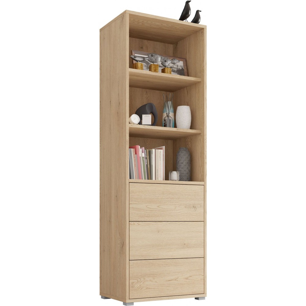 Βιβλιοθήκη Gesita-Φυσικό