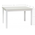 Τραπέζι Adam 100-Leuko 100x60x75
