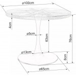 Τραπέζι Amadeo 100x100x76