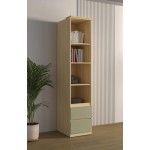 Βιβλιοθήκη Raton Slim II-Φυσικό – Μέντα