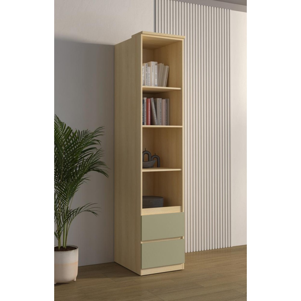 Βιβλιοθήκη Raton II-Φυσικό – Μέντα