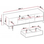 Έπιπλο τηλεόρασης Xylix 204x40x60