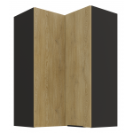 Κρεμαστό ντουλάπι γωνιακό Monar 60x60 GN 90 2F 60x60x90