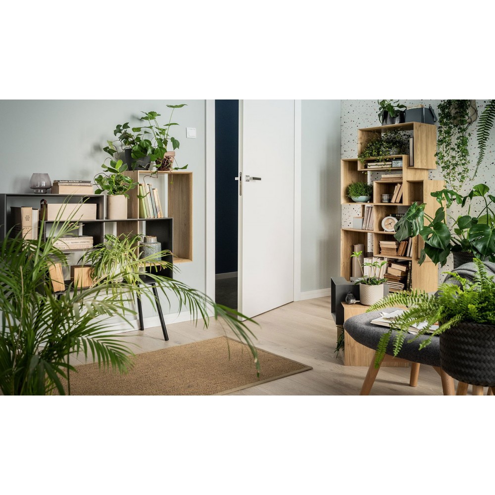 Βιβλιοθήκη Ribbon χαμηλή