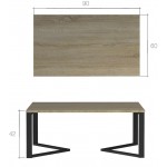 Τραπεζάκι σαλονιού Ledda 100x60x42